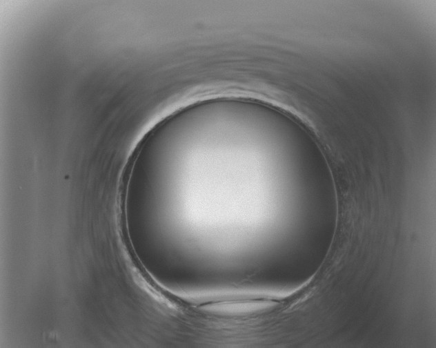 X0000080131518200612151725