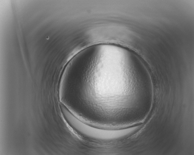 X0000080131521200612151725