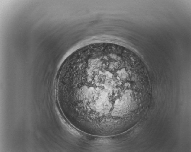 X0000080131522200612151725