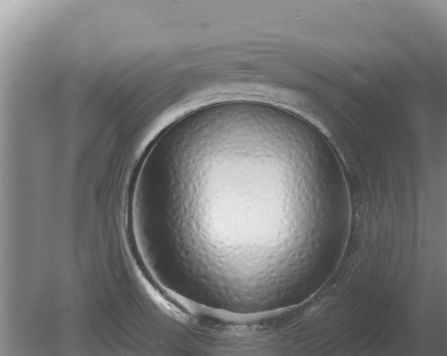 X0000080131523200612151725