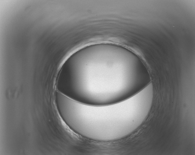 X0000080131524200612151725