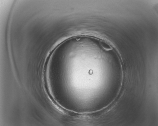 X0000080131525200612151725