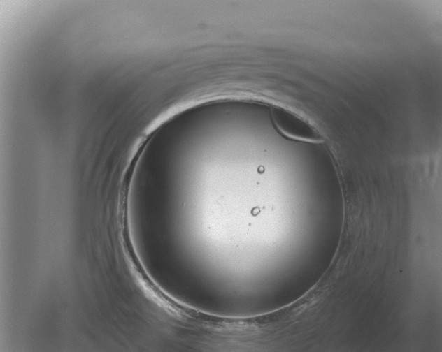 X0000080131526200612151725