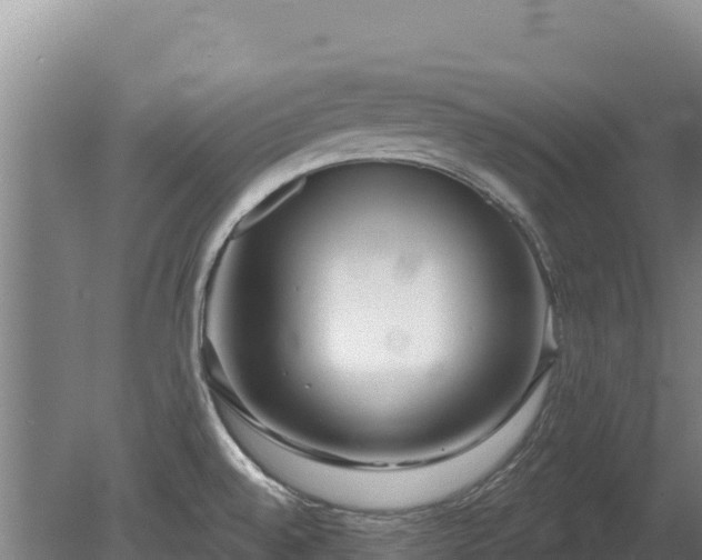 X0000080131528200612151725