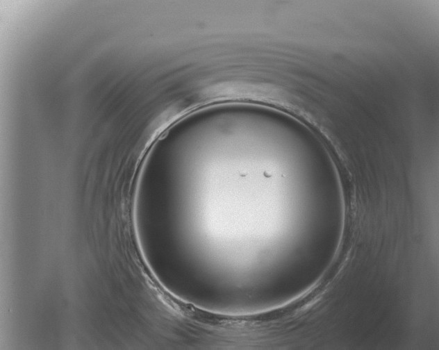 X0000080131529200612151725