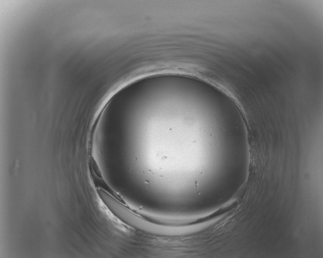 X0000080131532200612151725