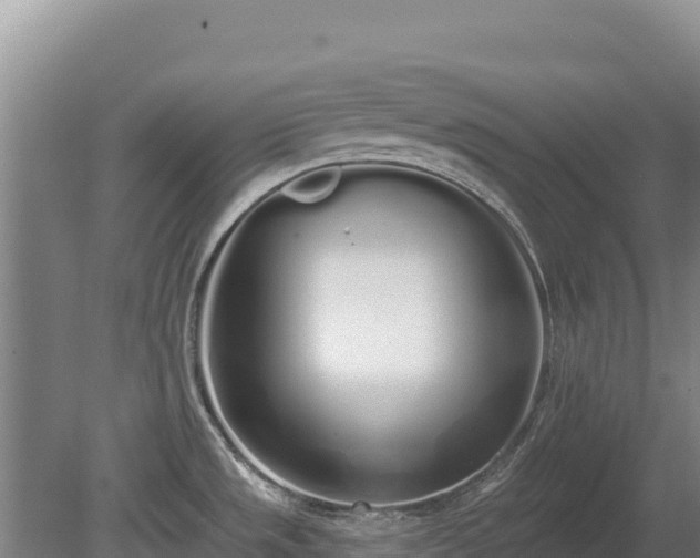 X0000080131533200612151725