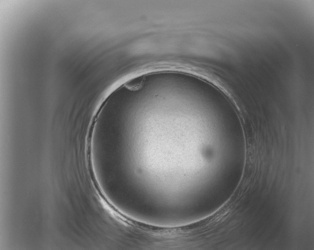 X0000080131535200612151725