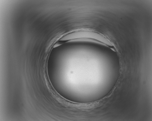 X0000080130001200612221909