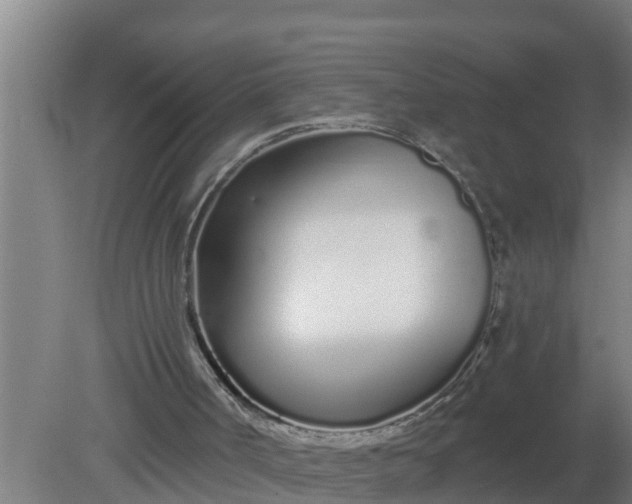 X0000080130002200612221909