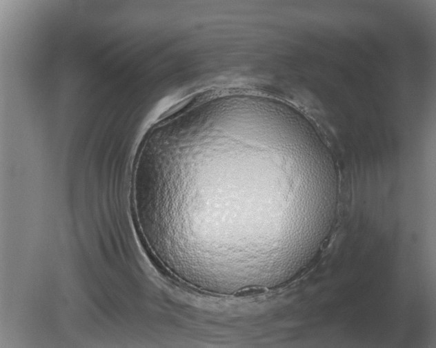 X0000080130003200612221909