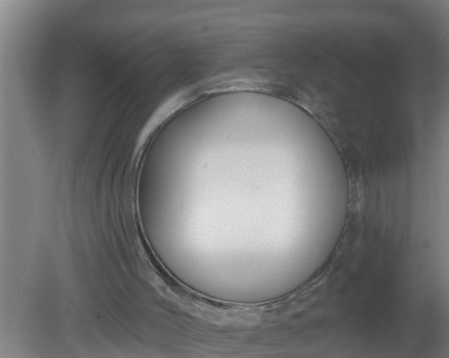 X0000080130004200612221909