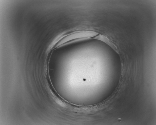 X0000080130005200612221909