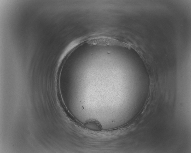 X0000080130006200612221909