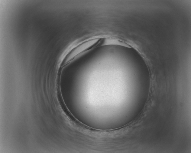 X0000080130007200612221909