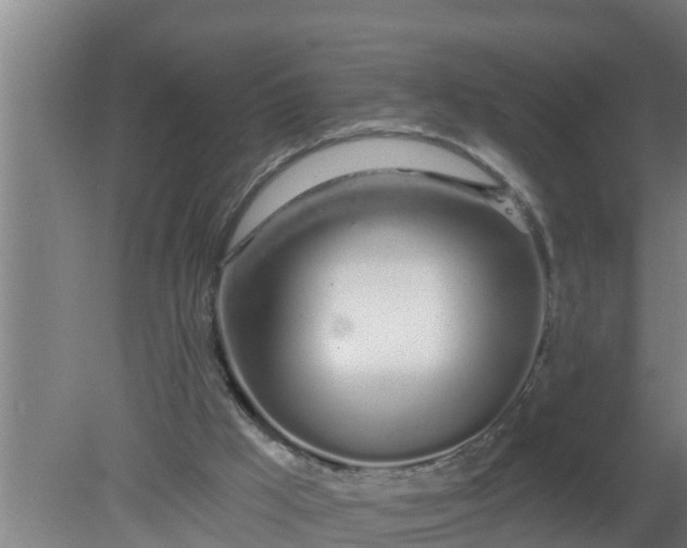 X0000080130009200612221909