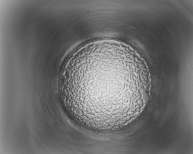 X0000080130012200612221909