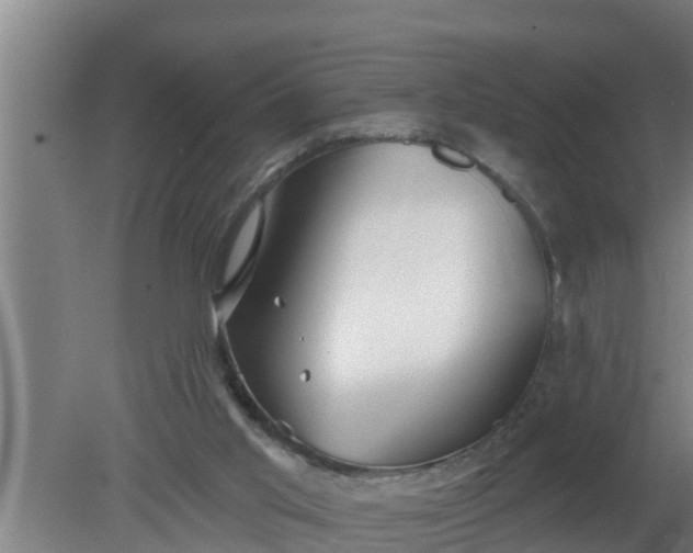 X0000080130013200612221909