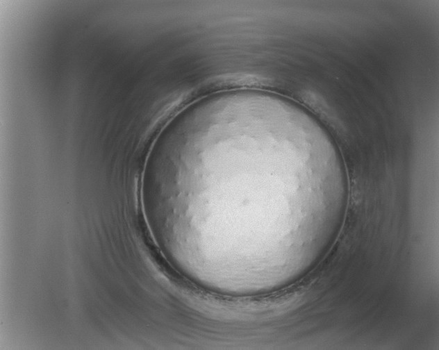 X0000080130014200612221909