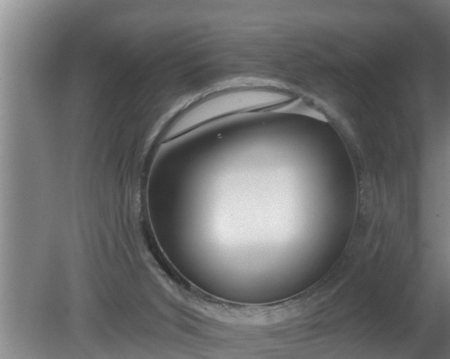 X0000080130015200612221909