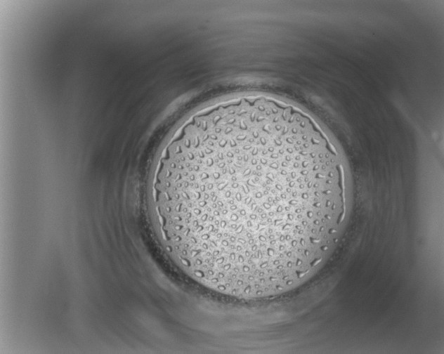 X0000080130016200612221909