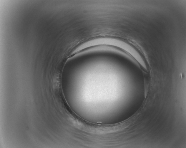 X0000080130017200612221909