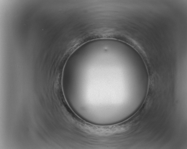 X0000080130018200612221909