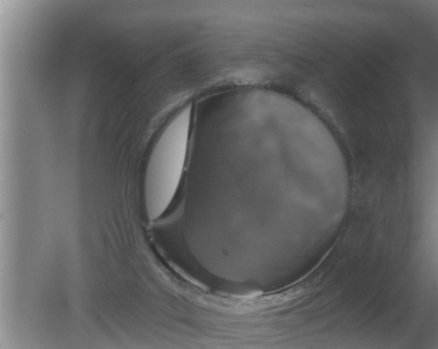 X0000080130019200612221909