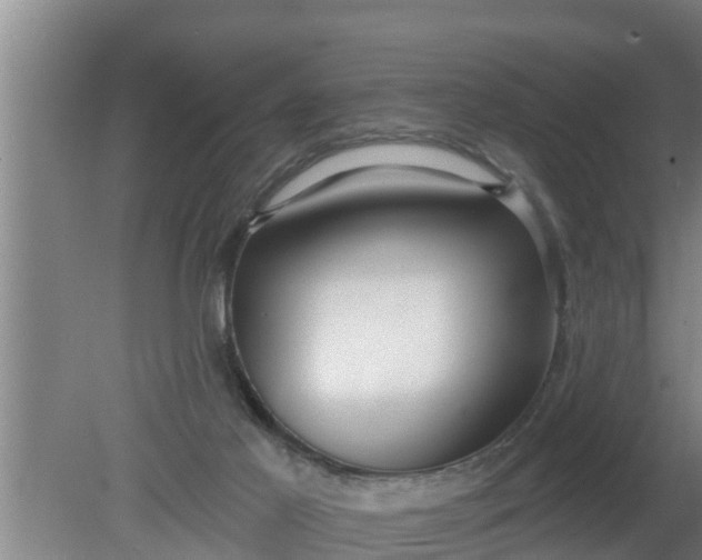 X0000080130021200612221909