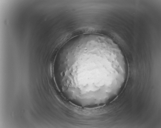 X0000080130022200612221909