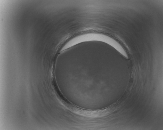 X0000080130023200612221909