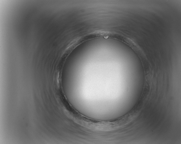 X0000080130024200612221909