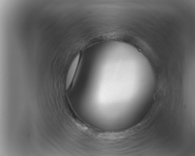 X0000080130025200612221909