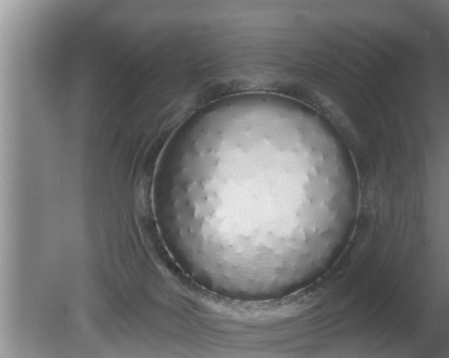 X0000080130026200612221909