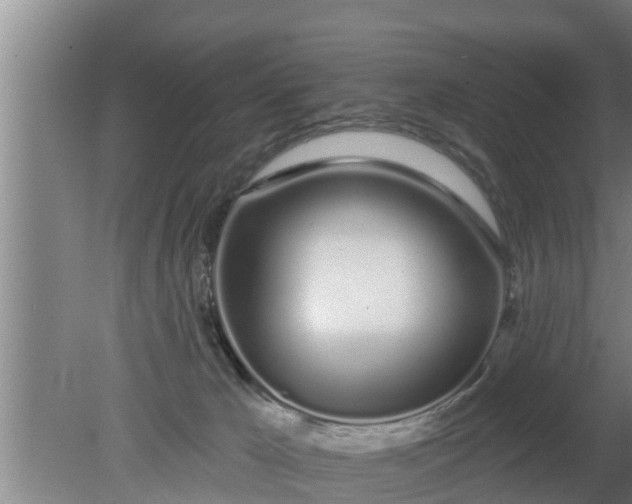 X0000080130029200612221909