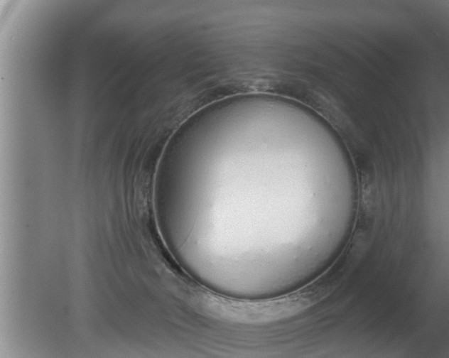 X0000080130030200612221909