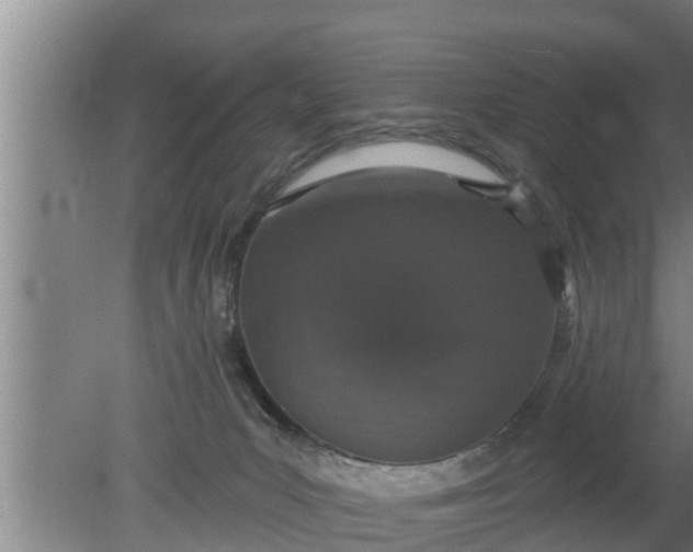 X0000080130031200612221909