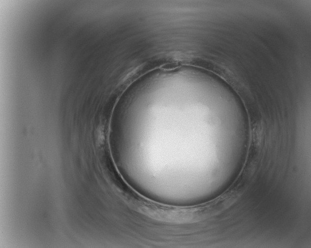 X0000080130032200612221909