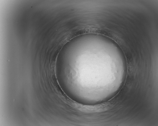 X0000080130034200612221909