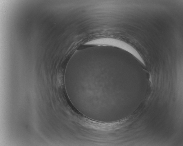 X0000080130035200612221909