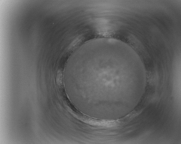 X0000080130036200612221909