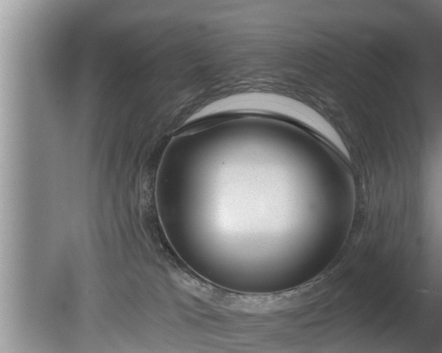 X0000080130037200612221909