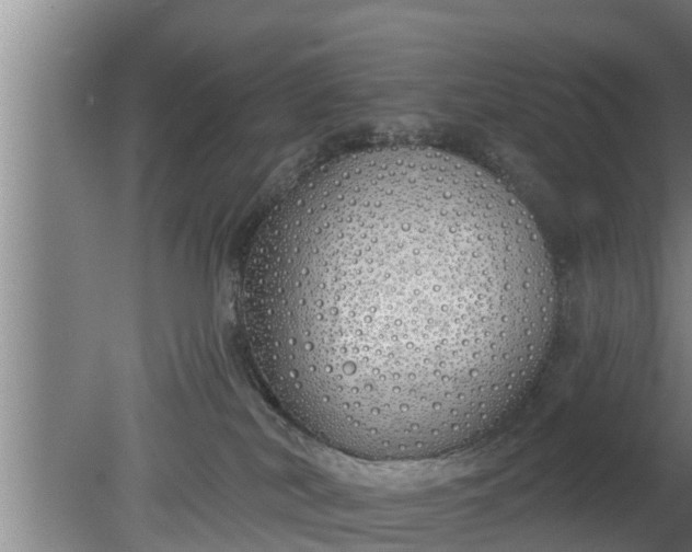 X0000080130038200612221909