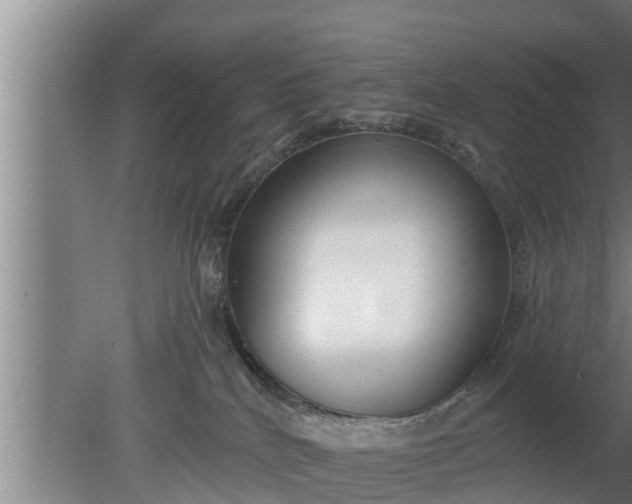 X0000080130040200612221908