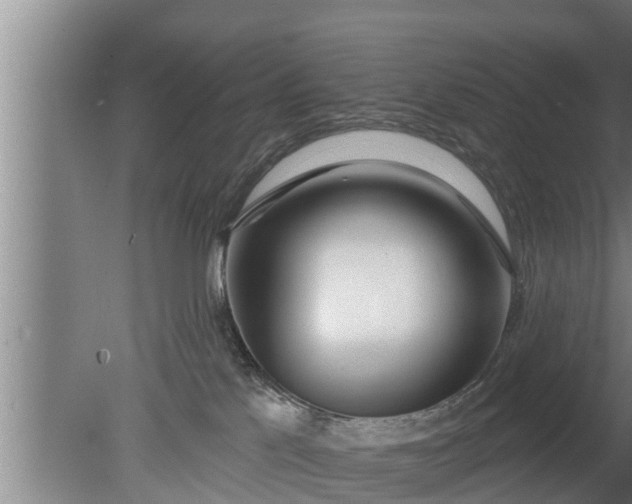 X0000080130041200612221908