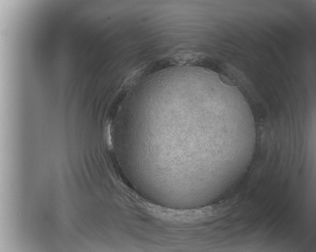 X0000080130042200612221908