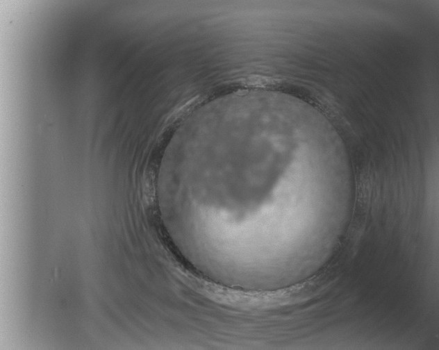 X0000080130043200612221908