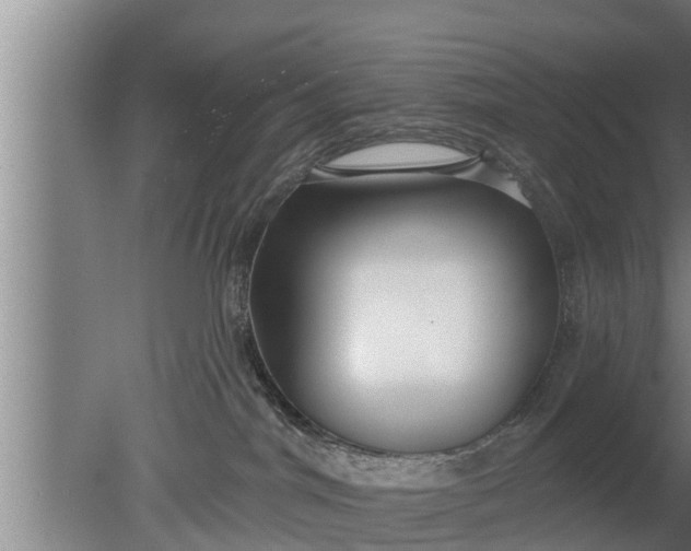 X0000080130044200612221908