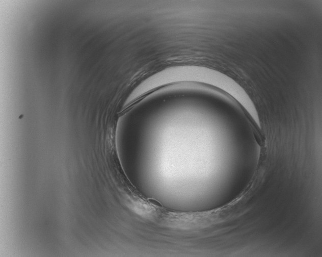 X0000080130045200612221908