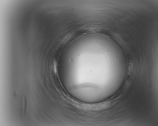 X0000080130046200612221908